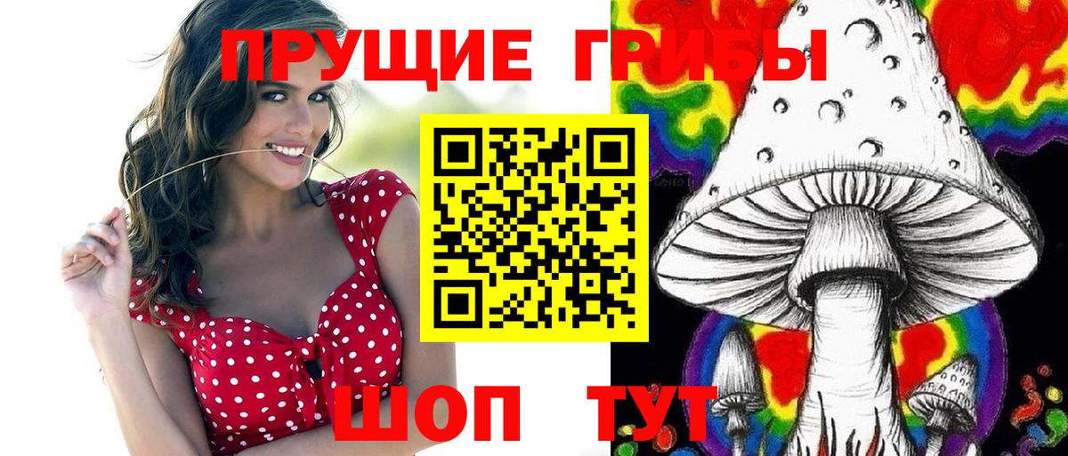 Сердобск  Галлюциногенные грибы Cubensis  Вход с VPN 